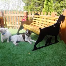 Hand-Crafted English Springer Spaniel Outdoor Garden Bench - Outside Metal Seat Unique Furniture Personalised - Optional - thumbnail 3