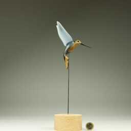 Hummingbird - H_6 - thumbnail 3