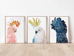 Australian Native Bird Print Set Of 3, Colourful Decor, Art, Living Room Wall Print, Bedroom Prints - thumbnail 1