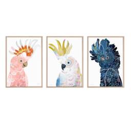 Australian Native Bird Print Set Of 3, Colourful Decor, Art, Living Room Wall Print, Bedroom Prints - thumbnail 2