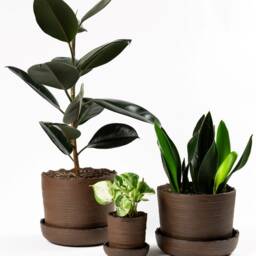 12.0 cm - Plant Pot With Saucer S Handmade Pottery Collection Soil - thumbnail 3