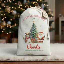 Personalised Santa Sack For Kids & Children, Christmas Present Bag With Wooden Gift Tag, Tree Add Name, Xmas Stocking - thumbnail 1
