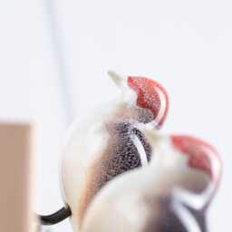 Small Woodpecker Wall Hanging Bird - Decorative Ceramic Figurine Lover Gift - thumbnail 4