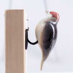 Small Woodpecker Wall Hanging Bird - Decorative Ceramic Figurine Lover Gift - thumbnail 3