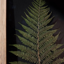 Huge Fern Wall Decor 13x18 - thumbnail 2