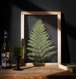 Huge Fern Wall Decor 13x18 - thumbnail 1
