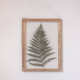 Huge Fern Wall Decor 13x18 - thumbnail 4