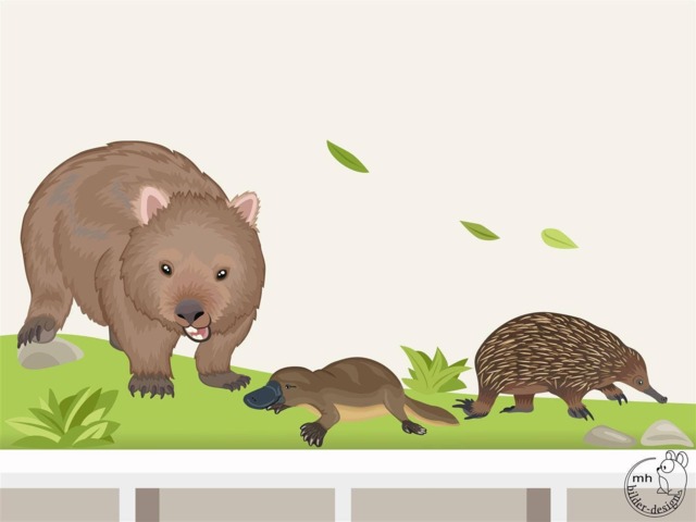 "Wall Sticker ""Wombat, Platypus, Echidna" - image 1