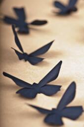 3D Wall Butterflies Navy Blue Butterfly Silhouettes For Home Art Decor, Nursery, Children's Room - thumbnail 1