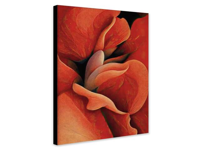Orange Rose By Georgia O'keeffe - Wrapped Framed Canvas Rolled Photo/Poster Print - image 1