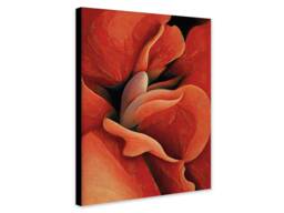 Orange Rose By Georgia O'keeffe - Wrapped Framed Canvas Rolled Photo/Poster Print - thumbnail 1