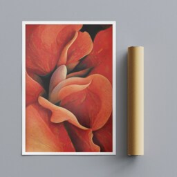 Orange Rose By Georgia O'keeffe - Wrapped Framed Canvas Rolled Photo/Poster Print - thumbnail 3