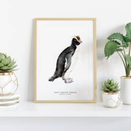 Erect-Crested Penguin Fine Art Print - Ocean Wall Beach Themed Home D??cor Bedroom Prints Housewarming Gift Eudyptes Sclateri - thumbnail 2