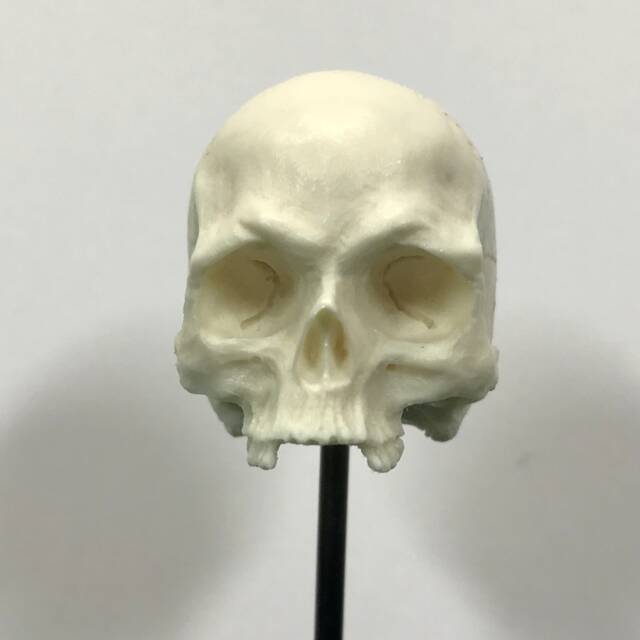 1/6Th Scale Bone Missing Middle Teeth Resin Human Skull - image 1