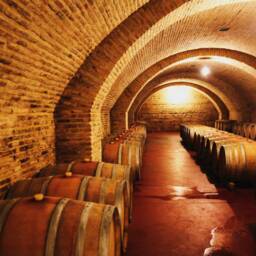 Vaults in The Wine Cellar Wall Mural Interior Removable Wallpaper Wall Decor Castle Self-Adhesive Large Wallpaper - thumbnail 2