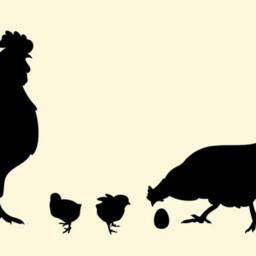 Chicken, Rooster, Chicks, & Eggs Custom Vinyl Decals - Chicken Decor, Wall Art, Decal, Farmhouse Country Decor - thumbnail 3