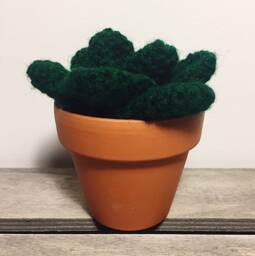 Artificial Succulent, Hand Crocheted in A Small Terracotta Plant Pot