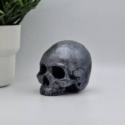 Solid Mini Human Skull Brushed Iron Effect Ornament Small Replica Plaster Of Paris Skull - thumbnail 3