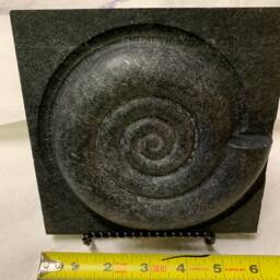 Nautilus Fossil - thumbnail 3