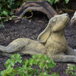 Moon Gazing Hare Stone Garden Ornament Reclining - thumbnail 2