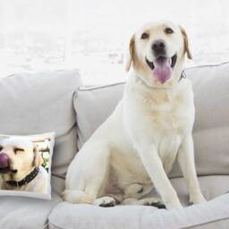 Custom Pet Photo Pillow Dog Or Cat Portrait Cushion - 16x16 - thumbnail 3