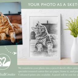 Personalised Pet Portrait Pencil Sketch Effect, Custom Framed Art Print - thumbnail 3