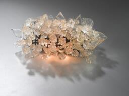 Wall Light Fixture - Sconce Up & Down Light, Transparent Flowers Leaves Over A Mirror