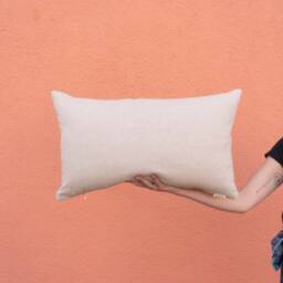 Overlook Lumbar Pillow - thumbnail 2