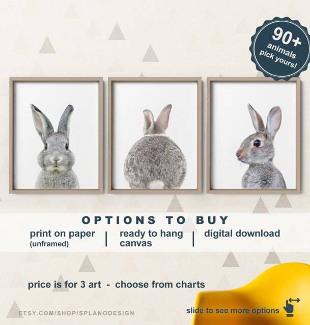 Bunny Nursery Art Prints Baby Animal Pictures, Set Of 3 - image 1