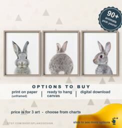 Bunny Nursery Art Prints Baby Animal Pictures, Set Of 3 - thumbnail 1