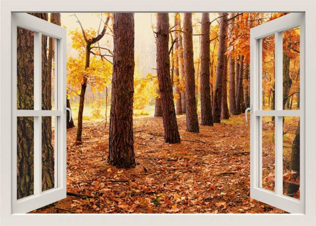 Forest Wall Decal, Autumn Trees 3D Window Sticker, Window Frame, View Home Mural