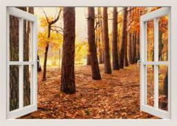 Forest Wall Decal, Autumn Trees 3D Window Sticker, Window Frame, View Home Mural