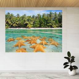 Tropical Star Fish Sea Beach Nature 3D View Wall Sticker Poster Decal A943