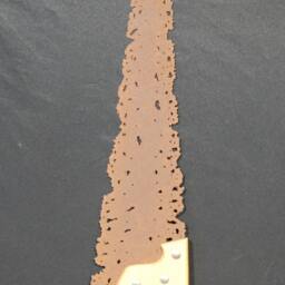 Upcycled Tree Saw, Plasma Cut Metal Wall Art - thumbnail 2