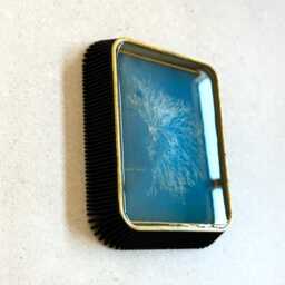 "Vintage Seaweed Print Wall Resin Art ""Ceramium Rubrum" - thumbnail 2