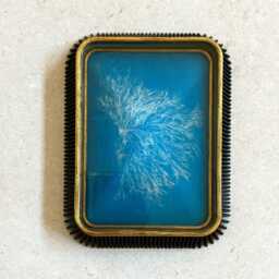 "Vintage Seaweed Print Wall Resin Art ""Ceramium Rubrum" - thumbnail 1