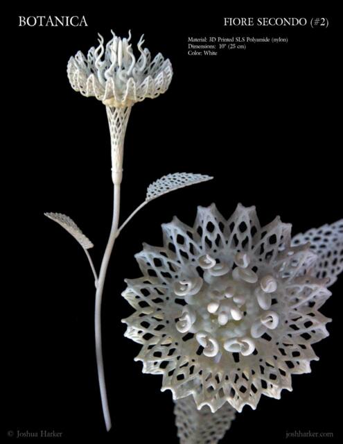 Fiore Secondo - 3D Printed Filigree Flower By Joshua Harker