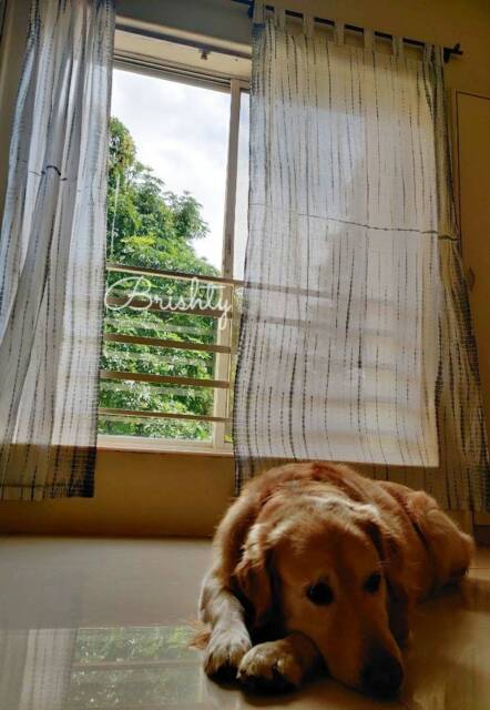 Tie Dye Gray Shibori Curtains, Bohemian Boho Decor, Beach & White Gray Shibori - image 1
