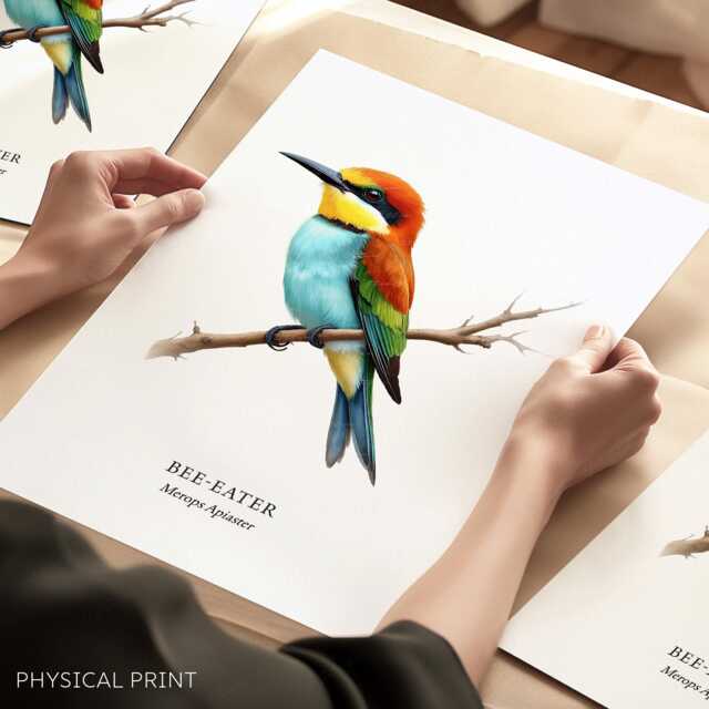 Bird Prints, Bee Eater, Garden Birds, Lover Gift, Watching, Illustration, Tropical Print, Art Wall Decor, Home Gifts - image 1