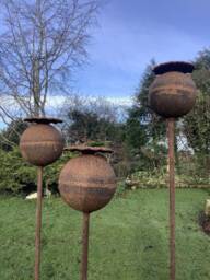 Set Of 3 Rusty 1.5 Metre Metal Tall Poppy Seed Head Stakes - thumbnail 1