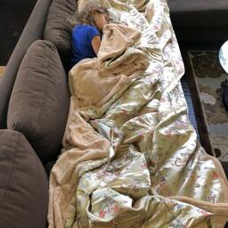 "Golden Champagne Dragon Brocade Throw Blanket, ""Golden Boy" - thumbnail 3