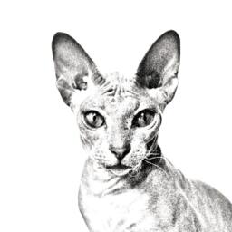 Peterbald - Wooden Stand For Candles/Pens With The Image Of A Cat New Collection - thumbnail 2