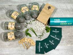 Herb Garden Grow Kit Glass Jars, Soil Pellets, Seeds, Gift Box
