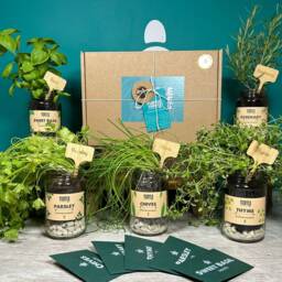 Herb Garden Grow Kit Glass Jars, Soil Pellets, Seeds, Gift Box - thumbnail 2
