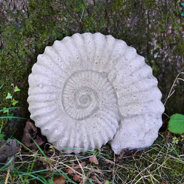 Med Ammonite Large Fossil Stone Statue Outdoor Garden Ornament Sculpture Decor - image 1