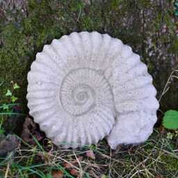 Med Ammonite Large Fossil Stone Statue Outdoor Garden Ornament Sculpture Decor - thumbnail 1