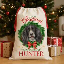 Personalised Black & White Springer Spaniel Christmas Sack Dog Treat Stocking Xmas Puppy Present New Pet Pup Gift Edws46