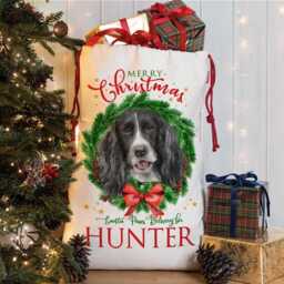 Personalised Black & White Springer Spaniel Christmas Sack Dog Treat Stocking Xmas Puppy Present New Pet Pup Gift Edws46 - thumbnail 3