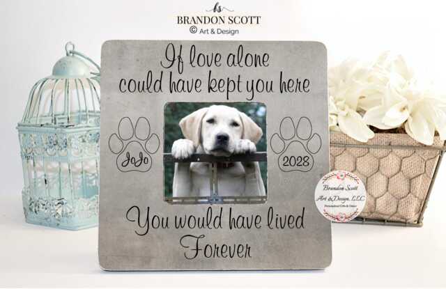 Personalized Pet Memorial Picture Frame Dog Cat Sympathy Gift - image 1
