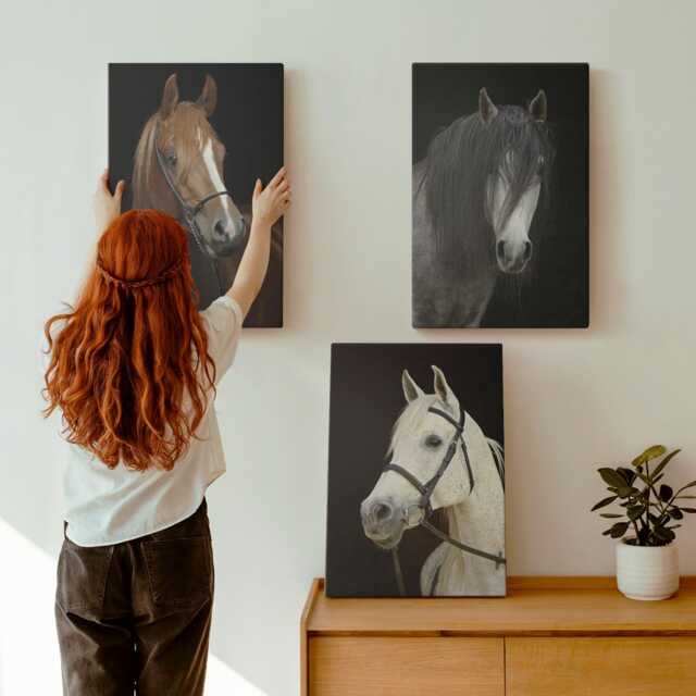 Canvas Art Set Of 3 - Portraits Horses in Different Shades Fur, Black Large Wall Art, Animals Hanging Piece - image 1